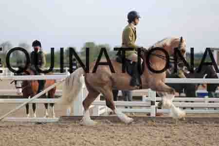 LOT-1177