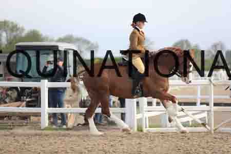 LOT-1178
