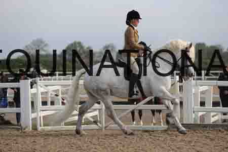 LOT-1181
