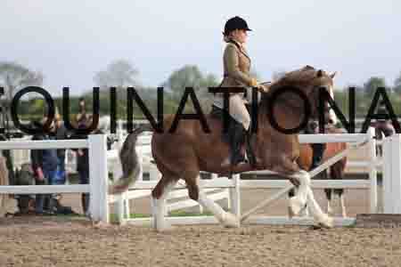 LOT-1182