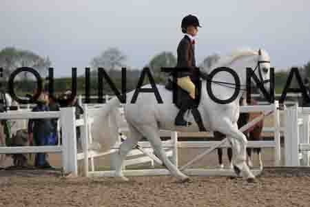 LOT-1183