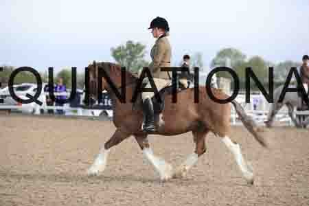 LOT-1194