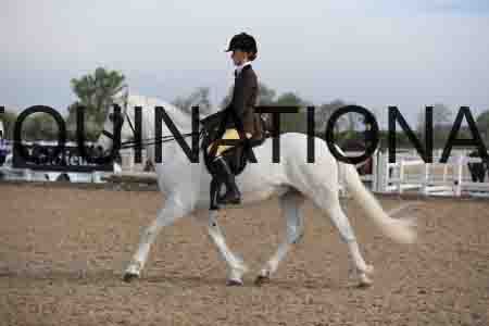 LOT-1199