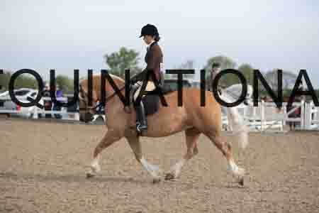 LOT-1201