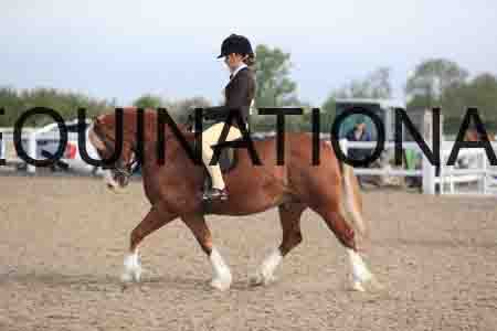 LOT-1207