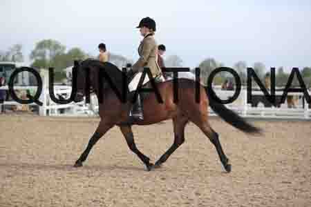 LOT-1211