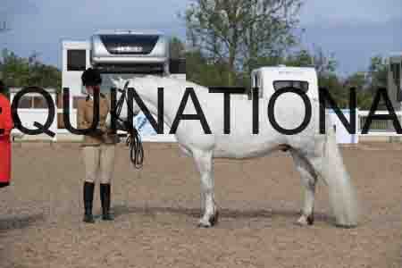 LOT-1240