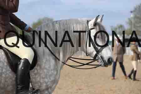 LOT-1247
