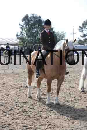 LOT-1266