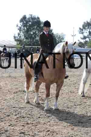 LOT-1267