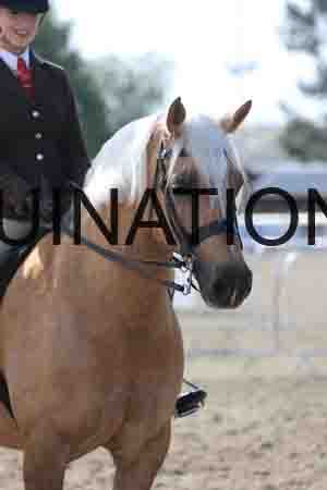 LOT-1269