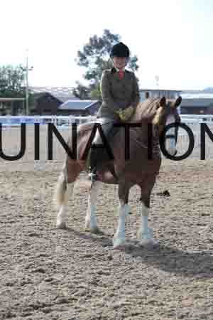LOT-1292