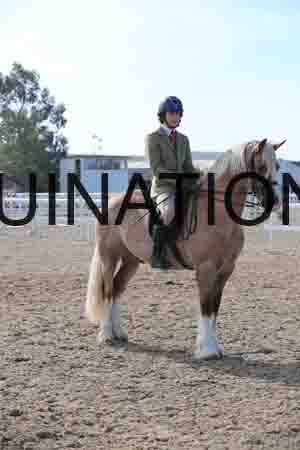 LOT-1298
