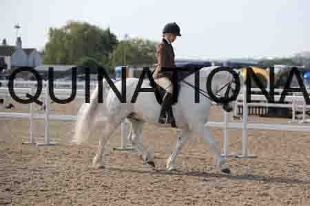 LOT-1322