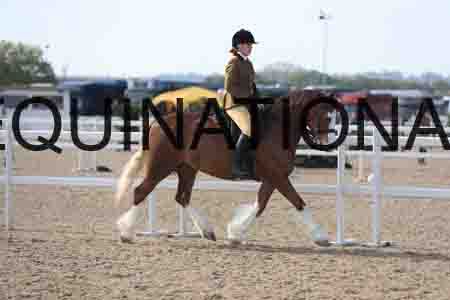 LOT-1324