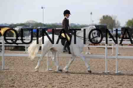 LOT-1326