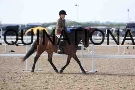 LOT-1328