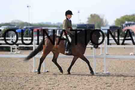 LOT-1329