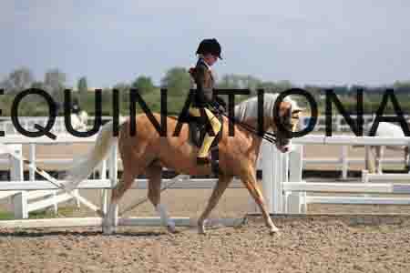 LOT-1331