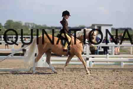 LOT-1332