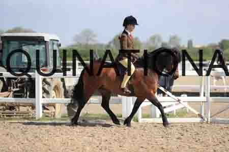 LOT-1339