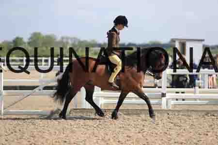 LOT-1340