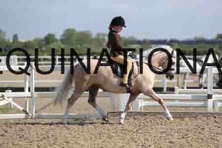 LOT-1341