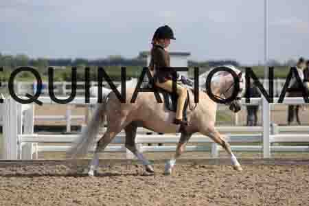 LOT-1342