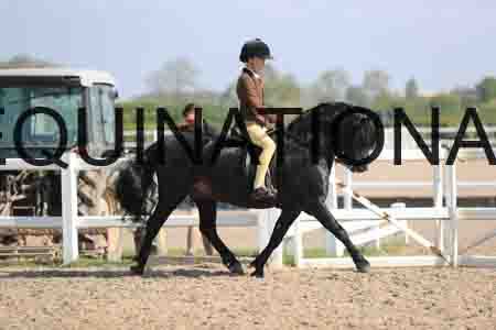 LOT-1343