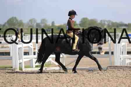 LOT-1344