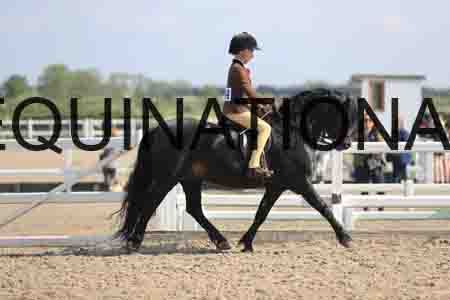 LOT-1345