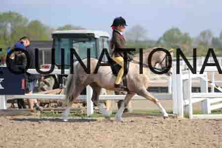 LOT-1346