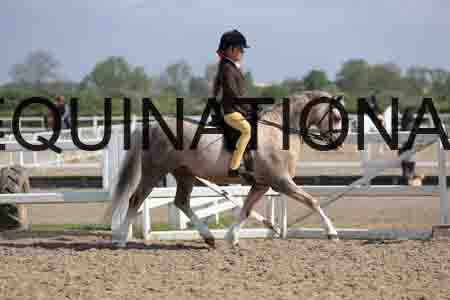 LOT-1347