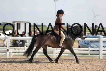 LOT-1349
