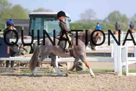 LOT-1350