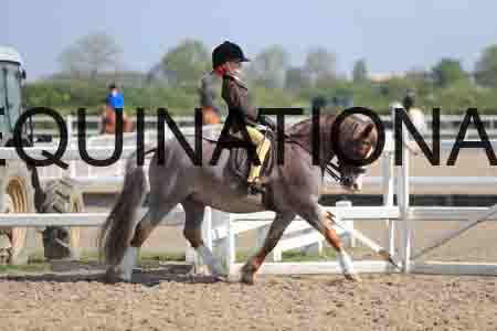 LOT-1351