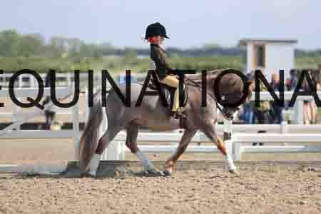 LOT-1352