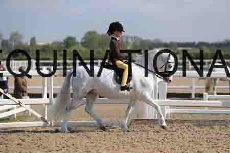 LOT-1355