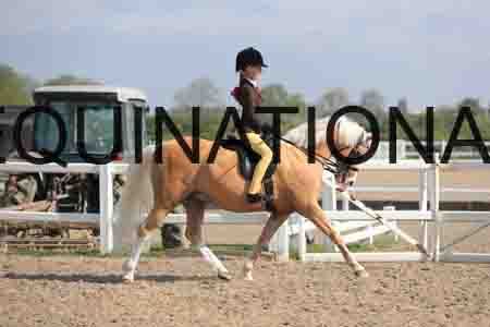 LOT-1358