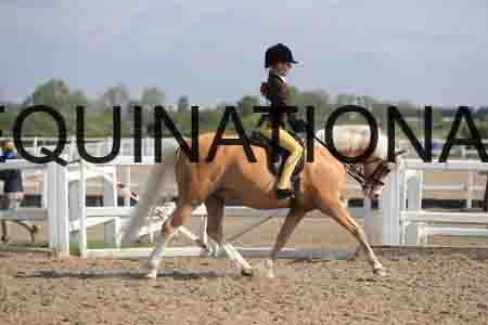 LOT-1359