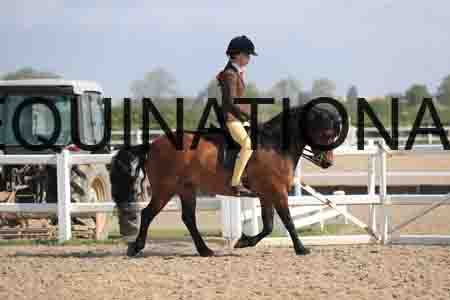 LOT-1363