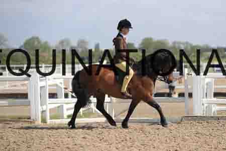 LOT-1364