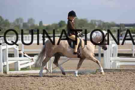 LOT-1367