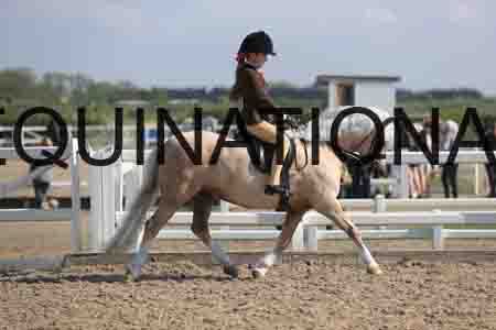 LOT-1368