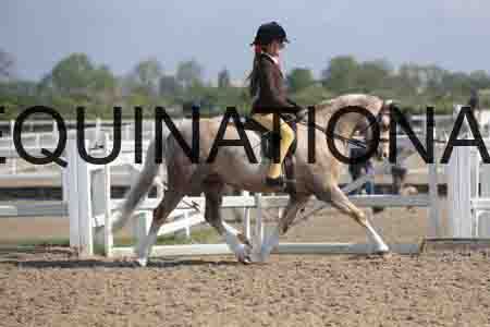 LOT-1371
