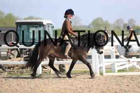 LOT-1373