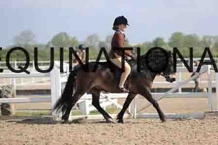 LOT-1374