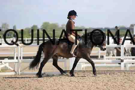 LOT-1375