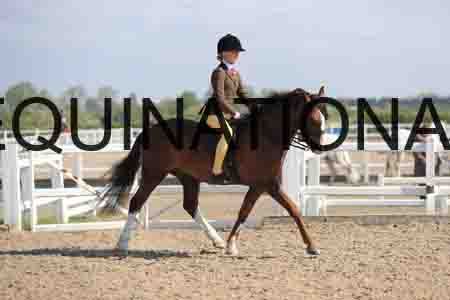 LOT-1376