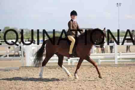 LOT-1377